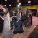 GV24P_0461