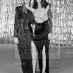 GV25S_0677
